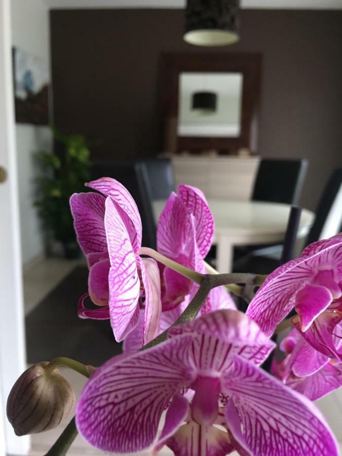 Nano House Daire Bègles Dış mekan fotoğraf